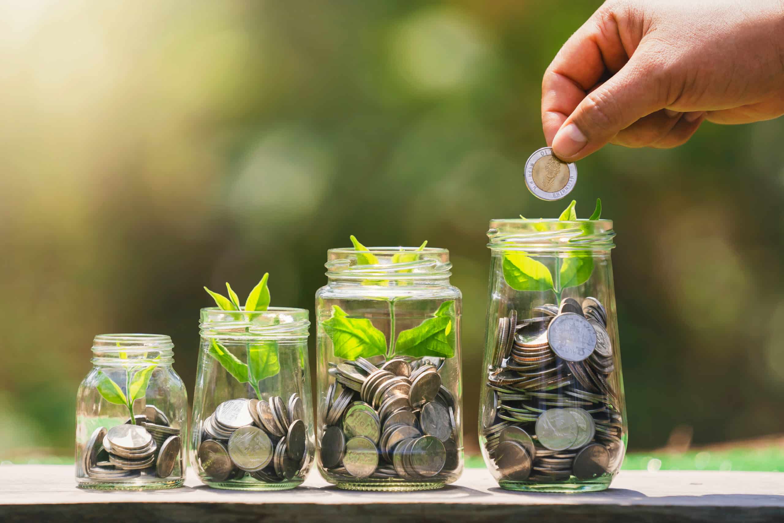 Crescita del capitale e dividendi